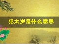 犯太岁是什么意思