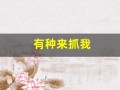 有种来抓我(有种来抓我原著)