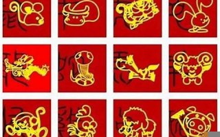 1972年属什么(1972年属什么鼠)