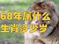 68年属什么生肖多少岁(69年属什么生肖多少岁)