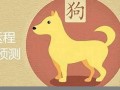 属狗2015年运势(属狗2015年运势运程)