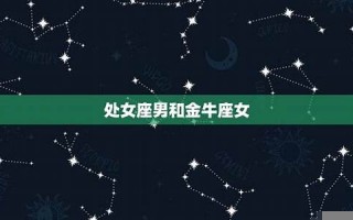 处女座男(处女座男和什么座最配对)