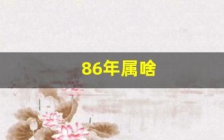 86年属啥(86年的属什么)