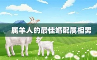 属羊男最佳婚配(属羊男最佳婚配前十名属相)