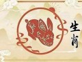 2023年属兔人的全年运势如何(2025年属兔的全年运势怎么样)