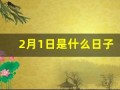 2月1日是什么日子(21日是什么日子八字)