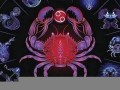 巨蟹座(巨蟹座的幸运颜色是什么颜色)