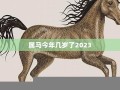 属马今年几岁了(属马今年几岁了2015年出生)