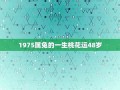 1975属兔48岁以后运气如何(1975属兔48岁以后运气如何属兔人一月出生)