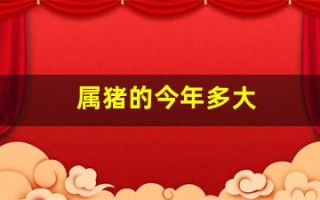 属猪的今年多大(属猪的今年多大年龄1995)