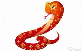 属蛇今年的运程(属蛇今年的运程和财运)