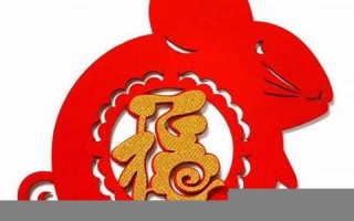 属鼠人出生月的命运(哪月出生最好)