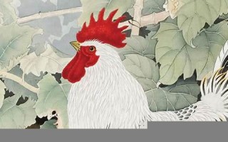 2013年属鸡人的运程(2013属鸡财运)