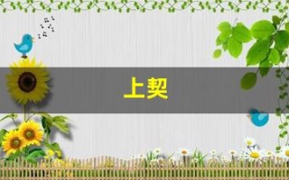 上契(下达众生根基)