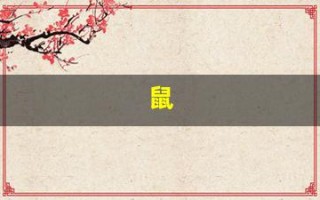 鼠(鼠的笔顺)