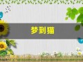 梦到猫(梦到猫是什么征兆 周公解梦)