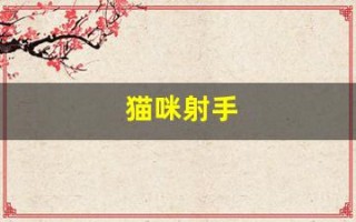 猫咪射手(猫咪射手座)