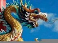 属龙的命运(1988年5月30日属龙的命运)