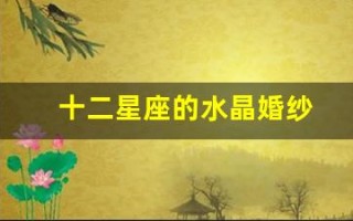 十二星座的水晶婚纱(十二星座的水晶婚纱礼服)