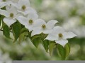 2011年5月27日(2011年5月27日出生是什么星座)