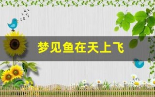 梦见鱼在天上飞(梦见鱼在天上飞什么预兆)