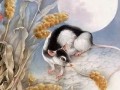 2021年属鼠人的全年运势(2021年属鼠人的全年运势女性)