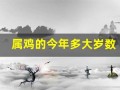 属鸡的今年多大岁数(属羊的今年多大岁数)