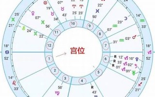 星盘(星盘查询精准查询)