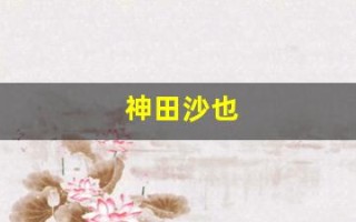 神田沙也(神田沙也加是弹丸的粉丝吗)