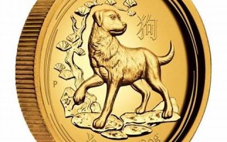 狗年(狗年今年多少岁)