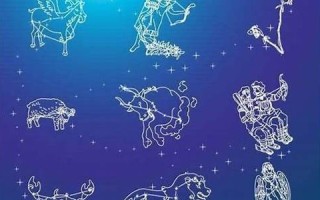 12星座大全(12星座大全书)