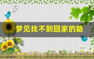 梦见找不到回家的路(梦见找不到回家的路)