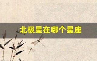 北极星在哪个星座(北极星和北斗七星)