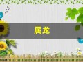属龙(属龙今日运势)