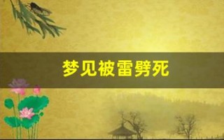 梦见被雷劈死(梦见被雷劈死了)