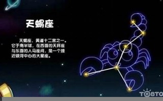 射手座男人的性格(射手座男人的性格是什么样的)