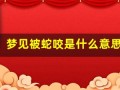 梦见被蛇咬是什么意思 周公解梦(周公解梦梦见蛇是什么意思)
