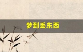 梦到丢东西(做梦丢了一只鞋子)