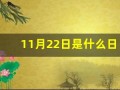 11月22日是什么日子(2024年11月22日是什么日子)