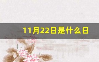 11月22日是什么日子(2024年11月22日是什么日子)