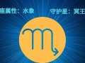 天蝎座日期(天蝎座日期是几月几号)