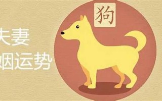 属狗男最佳婚配(2006年属狗男最佳婚配)