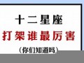 十二星座打架最厉害排名(十二星座打架最厉害的是谁)