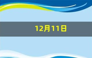 12月11日(12月11日有什么特殊意义)