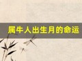 属牛人出生月的命运(属牛人出生月的命运 十二生肖网 卜易居)