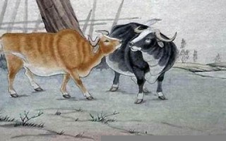 牛配狗(牛配狗守孤灯是真的吗)