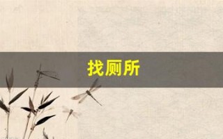 找厕所(找附近公厕)