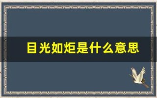 目光如炬是什么意思(目光如炬的出处)