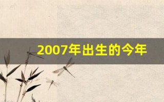 2007年出生的今年多大了(2007年出生的今年多大了虚岁)