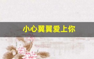 小心翼翼爱上你(小心翼翼爱上你是什么歌)